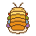 This is My isopod!
